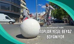 Kırklareli’nde Toplar Yeşil Beyaz Boyanıyor