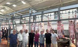 Başkan Altıntel Canlı Hayvan Borsası’nı Ziyaret Etti