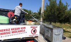 Edirne'den Kısa Kısa