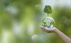 Dünya Çevre Günü’nde Plastik Kirliliğine Karşı Acil Çağrı