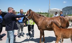 Başkan Bulut, Kanayan Yaraya El Attı