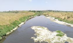Ergene Ovası Can Çekişiyor