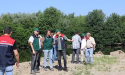 Meriç Nehri’nde İncelemeler Yapıldı