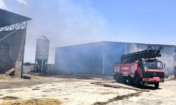Kırklareli: Hayvan Çiftliği Alevler İçinde Kaldı