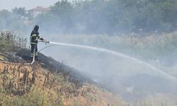 Kırklareli'nde Otluk Alanda Yangın