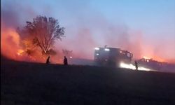 Havai Fişek 15 Dekar Alanı Yaktı