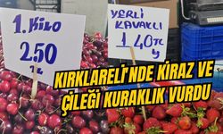 Kırklareli’nde Kiraz ve Çileği Kuraklık Vurdu