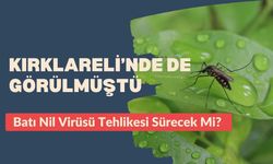 KIRKLARELİ’NDE DE GÖRÜLMÜŞTÜ; Batı Nil Virüsü Tehlikesi Sürecek Mi?