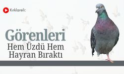 Kırklareli: Görenleri Hem Üzdü Hem Hayran Bıraktı