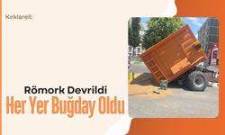 Kırklareli: Römork Devrildi Her Yer Buğday Oldu