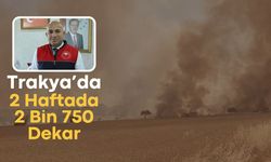 Trakya’da 2 Haftada 2 Bin 750 Dekar