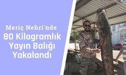 Meriç Nehri'nde 80 Kilogramlık Yayın Balığı Yakalandı