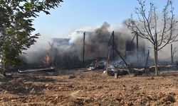 Kırklareli; Ciğerlerimiz Yandı, 2 Bin Dekar Alan Kül Oldu