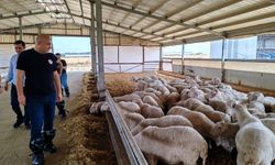 Kırklareli’nde Küçük Baş İşletmelerine Ziyaretler Devam Ediyor