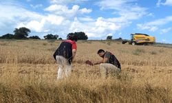Kırklareli: Ürün Kayıpları En Aza İndiriliyor