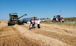Kırklareli’nde Ürün Kayıplarını En Aza İndirmek Amacıyla Çalışmalar Sürüyor