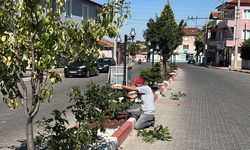 Kavaklı’da Düzenleme ve İlaçlama Devam Ediyor