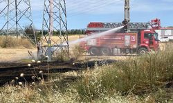 Pınarhisar’da Korkutan Yangın