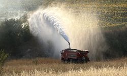 Edirne: 400 Dekar Arazi Zarar Gördü
