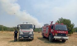 Edirne'den Kısa Kısa
