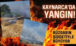Kaynarca’da Yangın! Rüzgarın Şiddetiyle Büyüyor