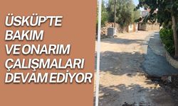 Üsküp’te Bakım ve Onarım Çalışmaları Devam Ediyor