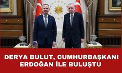 Derya Bulut, Cumhurbaşkanı Erdoğan İle Buluştu