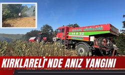 Kırklareli'nde Anız Yangını