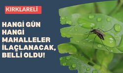 KIRKLARELİ; Hangi Gün Hangi Mahalleler İlaçlanacak, Belli Oldu!