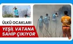 Ülkü Ocakları Yeşil Vatana Sahip Çıkıyor