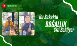 Kırklareli: Bu Sokakta Doğallık Sizi Bekliyor