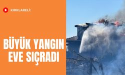 Kırklareli: Büyük Yangın Eve Sıçradı