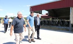 Vali Yardımcısı Tanrıseven, Büyükbaş Çiftliğini Ziyaret Etti