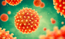 Hepatitin En Sık Nedeni Virüsler