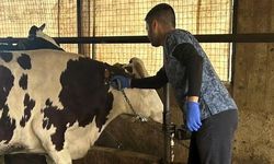 Kırklareli’nde Aşılama Çalışmaları Hız Kesmiyor