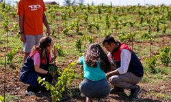 Lüleburgaz’da Zararlı Tespiti Yapıldı