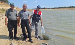 Lüleburgaz’da Balıklandırma Yapıldı