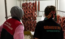 Lüleburgaz’da Et İşleme Tesislerine Denetim