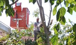 Kavaklı’da Bakım Çalışmaları Yapıldı