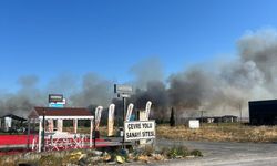 Lüleburgaz’da Yangın Yerleşim Yerlerine Ulaştı