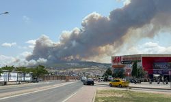 SON DAKİKA; Çanakkale’de Büyük Yangın
