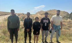 Kırklareli Jandarması 7 Düzensiz Göçmen Yakaladı