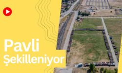 Pavli Şekilleniyor