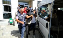 Kırklareli’nde 8 Düzensiz Göçmen Yakalandı