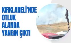 Kırklareli; Otluk Alanda Yangın Çıktı