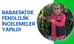 Babaeski’de Fenolojik İncelemeler Yapıldı