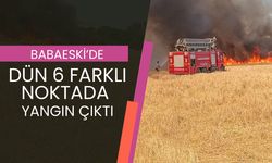 Babaeski’de Dün 6 Farklı Noktada Yangın Çıktı