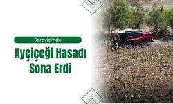 Sarayiçi'nde Ayçiçeği Hasadı Sona Erdi