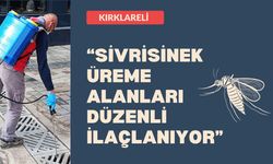 KIRKLARELİ; “Sivrisinek Üreme Alanları Düzenli İlaçlanıyor”