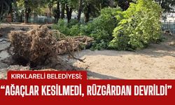 KIRKLARELİ BELEDİYESİ; “Ağaçlar Kesilmedi, Rüzgârdan Devrildi”
